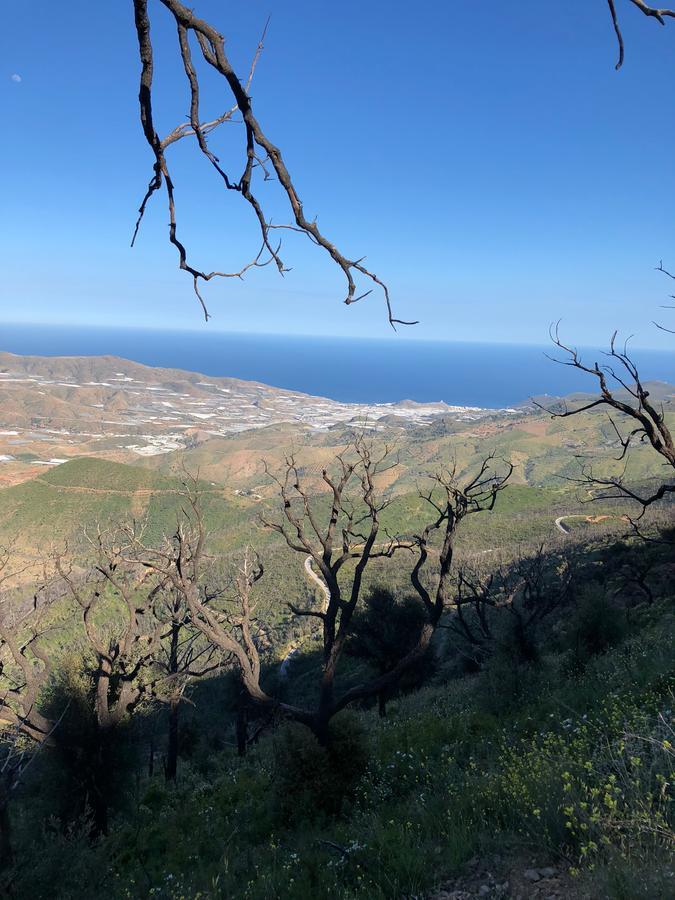 Cortijo Sancardo ξενώνας Lujar Εξωτερικό φωτογραφία